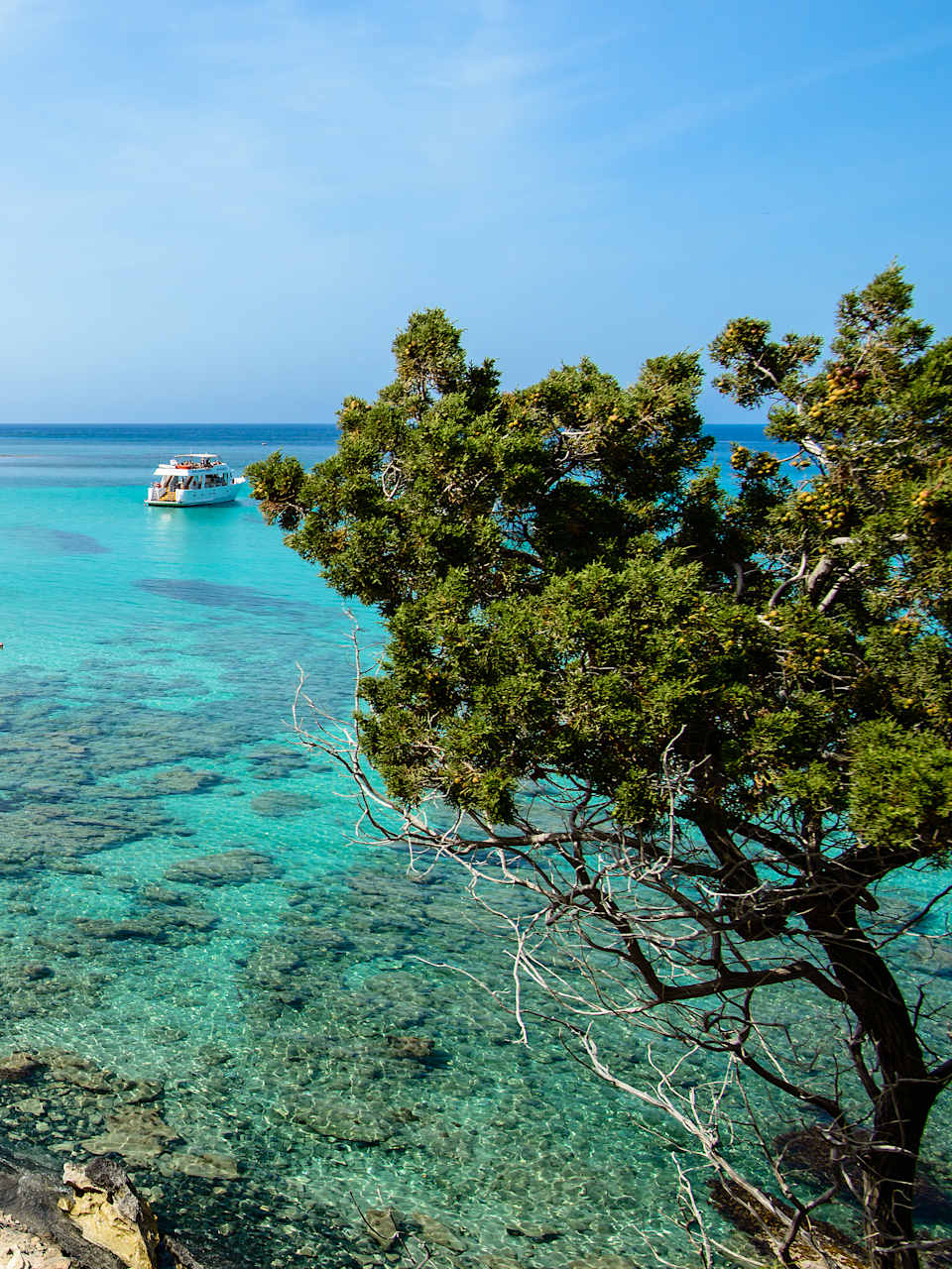 Eine Bucht mit türkisem Wasser umgeben von Felsen und Bäumen